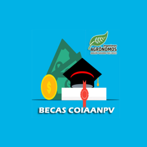 becas big