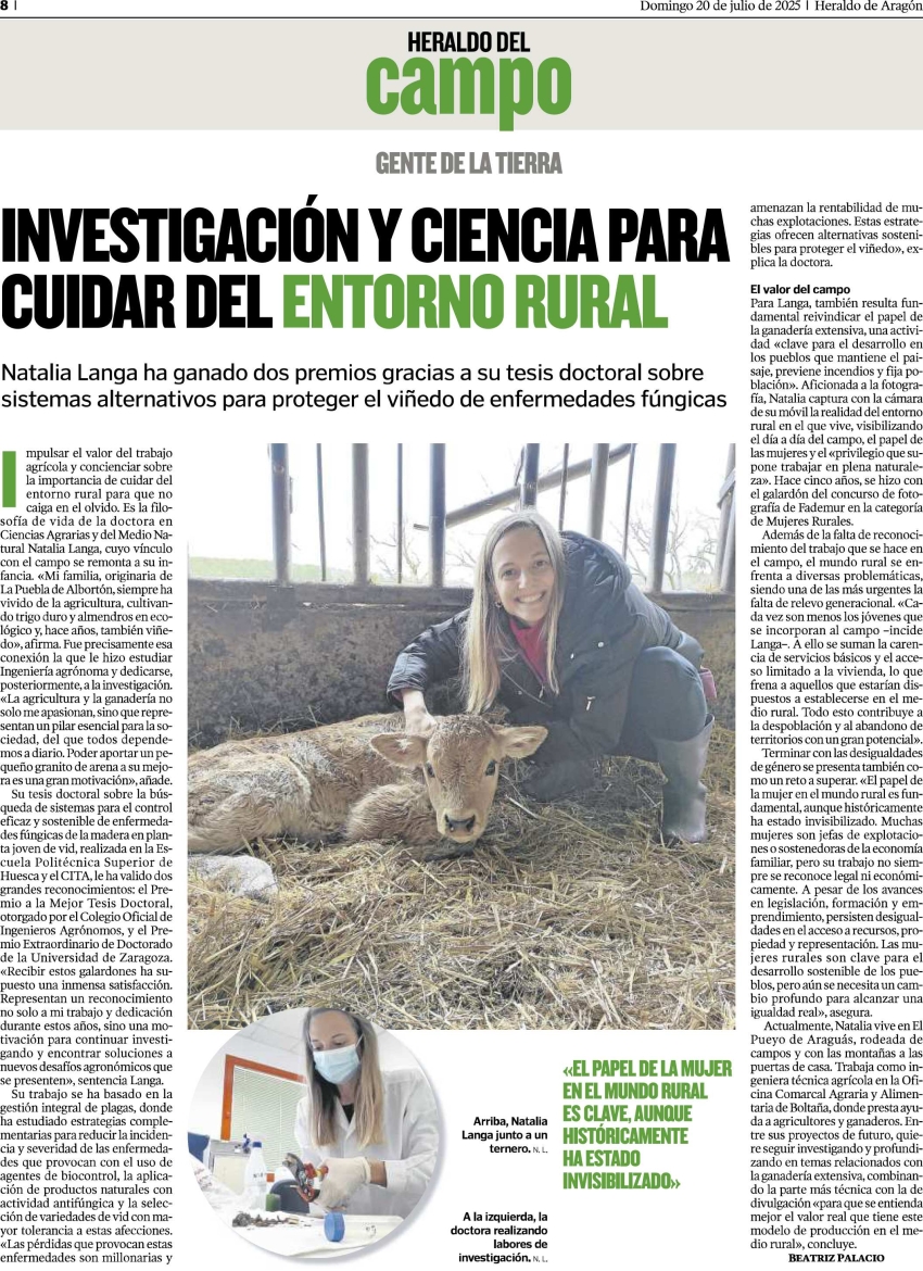 pincha en la imagen para ver el pdf